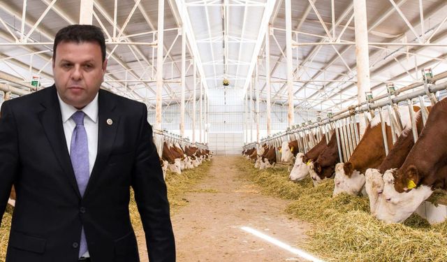 Süt Sektöründe Kış Öncesi Tehlike Çanı Mı Çalıyor?