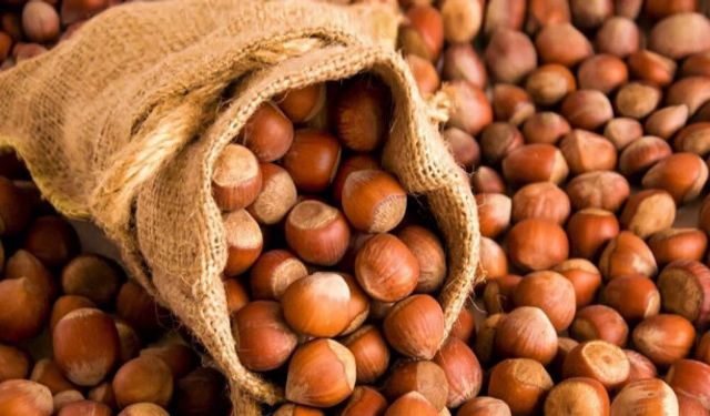 Fındık Krizinde Flaş Gelişme!