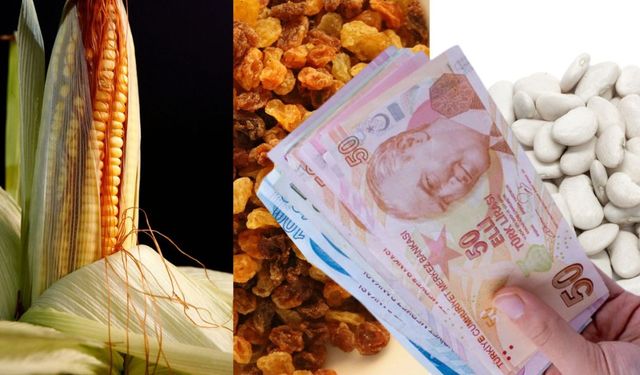 TMO’dan Üreticiye 310 Milyon TL Ödeme!