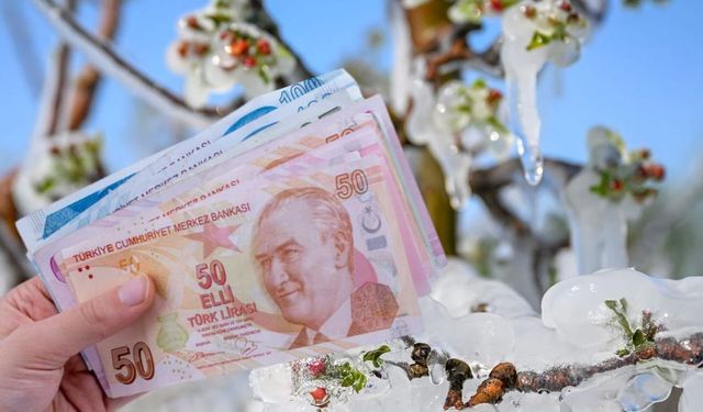 Üreticilere 1,7 Milyar TL Zirai Don Desteği Daha!