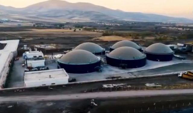 Cevizdere Besi Organize Tarım Bölgesi Üretime Hazırlanıyor!