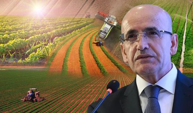 Bakan Şimşek Açıkladı: Tarım Büyümeye Nasıl Baskı Oluşturdu?