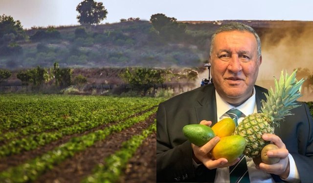 Gürer: Tropikal Meyvede İthalat Artıyor, Döviz Yurt Dışına Gidiyor