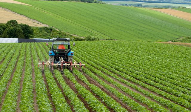 Tarımda Üretici Enflasyonu Kasım’da Geriledi