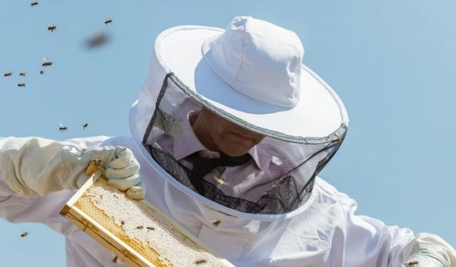 Büyükşehir’den Arıcılara Ekipman Desteği!
