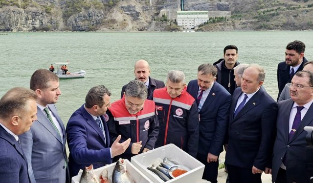 Türk Somonu İhracatı 500 Milyon Dolara Ulaştı!