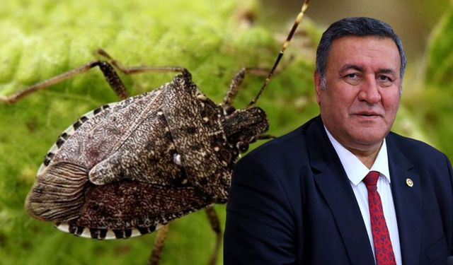 Gürer’in Soru Önergesine Bakanlıktan Yanıt!