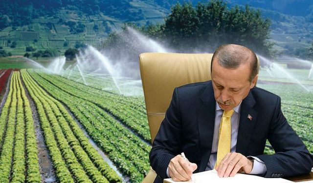 Tarım Sektörüne Yüzde 10’luk Ödenek Ayrıldı!