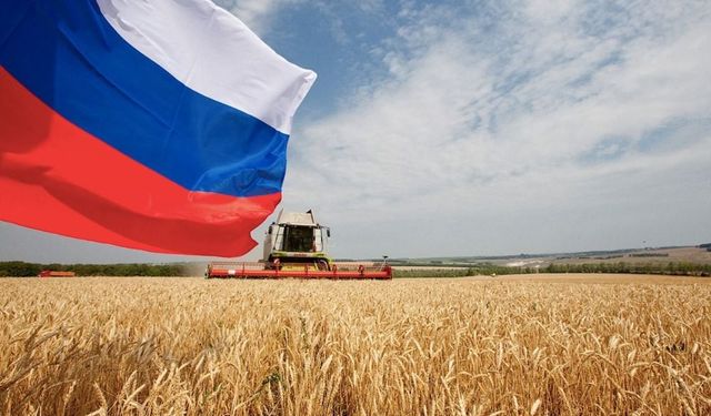 Rusya’dan Çin’e Rekor Tarım İhracatı
