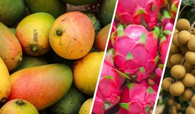 Tropikal Meyvede Yerli Hamle!