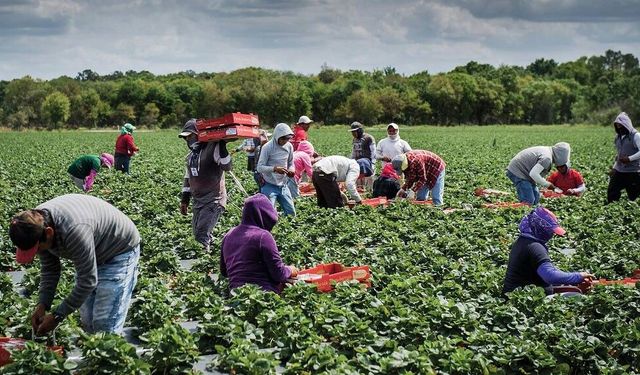 ''Üreten Kazanamıyor, Tüketen Alamıyor''