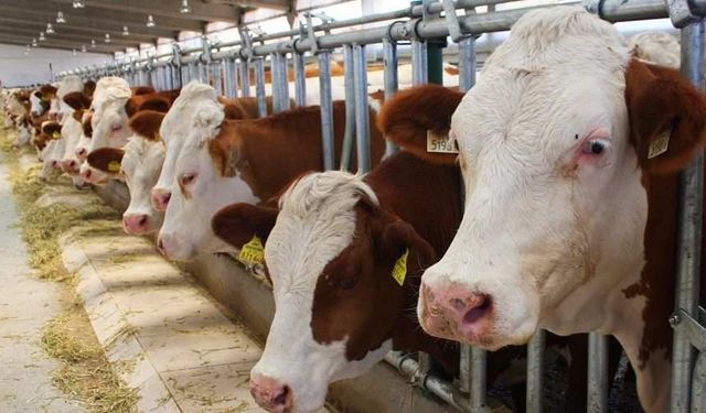 “Teslimat Aksıyor” İddialarına ESK’dan Yanıt