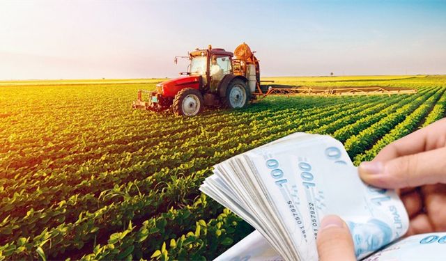 129 Milyon TL'lik Tarımsal Destekleme Ödemeleri Hesaplara Aktarılıyor!