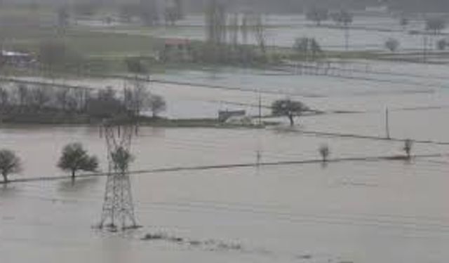 Sağanak Yağış Tarım Arazilerini Sular Altında Bıraktı!