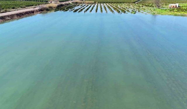 Yüreğir’de Aşırı Yağışlar Tarım Arazilerini Vurdu!