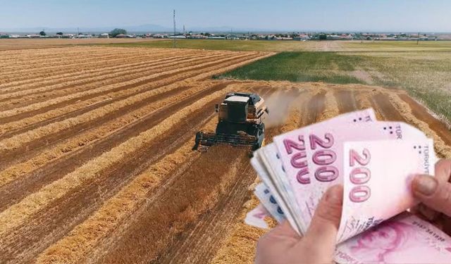 149 Milyon TL’lik Tarımsal Destekleme Ödemeleri Hesaplara Aktarılıyor!
