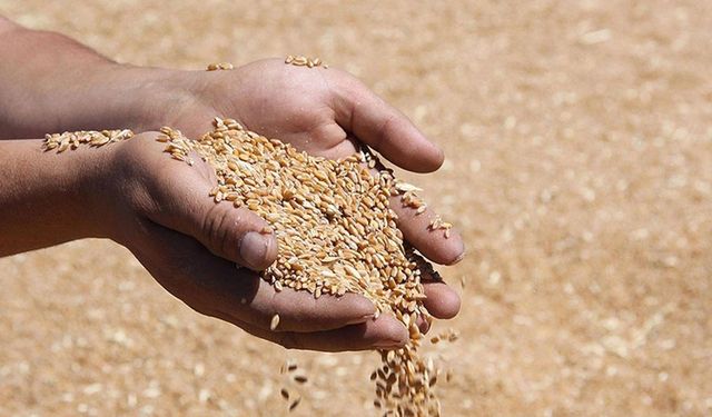 Ocak Ayında 929,5 Milyon Dolarlık Gıda İhracatı!