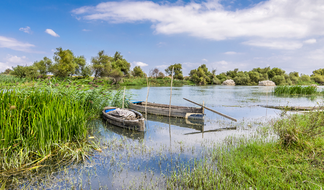 1,2 Milyon Hektarlık Sulak Alan Doğayı Koruyor