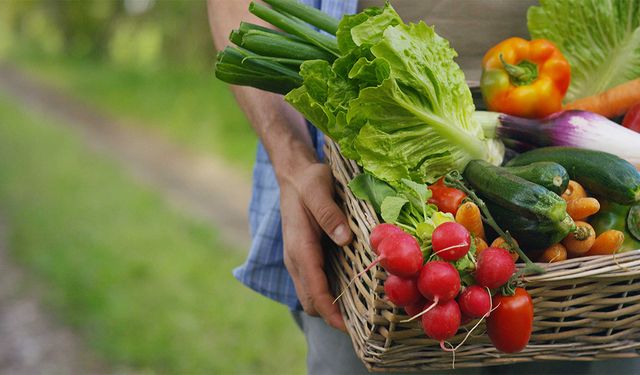 Tarımda Ocak Ateşi: Sebze ve Meyve Fiyatları Fırladı!
