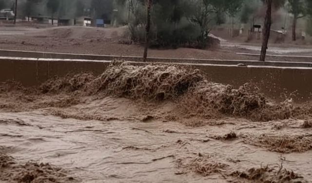 Köyceğiz’de 5 Milyon TL’lik Sera Kaybı!