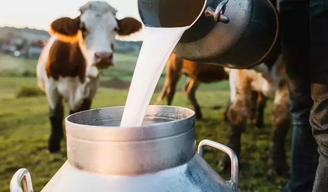 Çiğ Süt Destekleri Bugün Hesaplara Aktarılıyor!