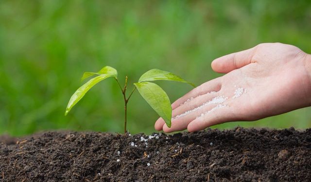 Tarım Kredi, Gübre Tedarikinde Alınan Tedbirleri Paylaştı!