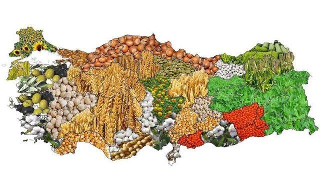 Bir Ülkenin Tarım Haritası Nasıl Okunur?