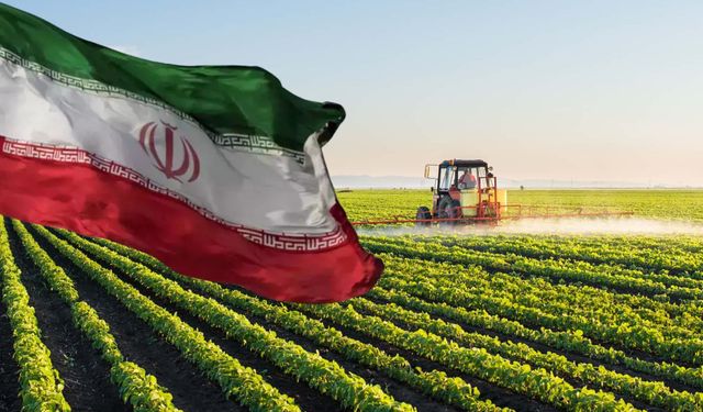 İran Gıda ve Tarım Ürünleri İhracatını Durdurdu!