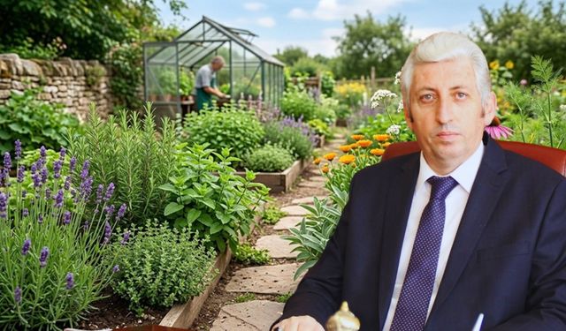 Dünya Yaban Hayatı Günü’nde Kritik Uyarı: Tıbbi Bitkiler Tehdit Altında