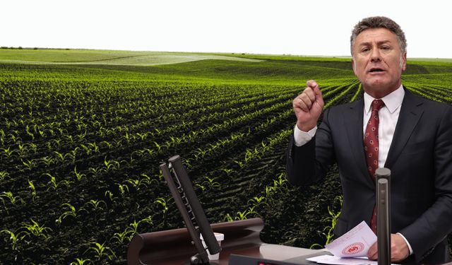 Gübre Tartışması: “Stok Var Deniyor, Çiftçi Alamıyor”