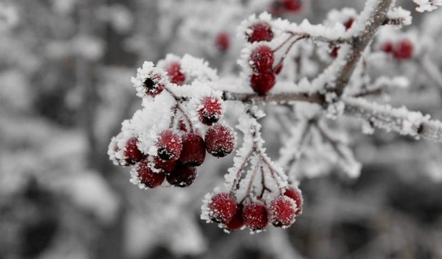 Türkiye Genelinde Yağış ve Don Alarmı!