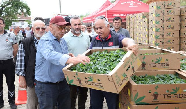 Büyükşehirden Üreticiye Fide Desteği!