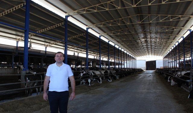 Hasan Çetin’den Kırmızı Et Uyarısı: “Buzağı Ölümleri Yüksek”