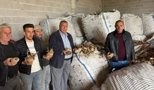 Niğdeli Patates Üreticisi Ayakta Kalma Mücadelesi Veriyor