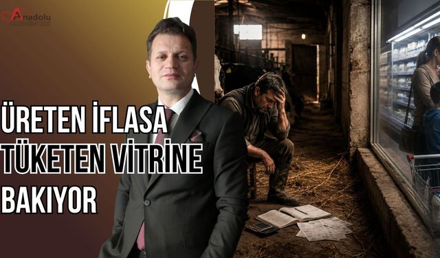 Üreten İflasa Tüketen Vitrine Bakıyor