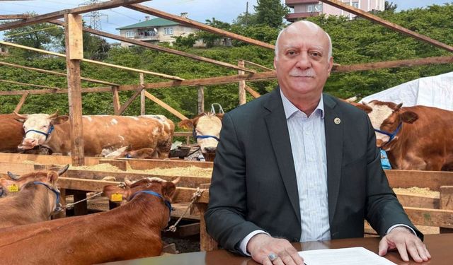 TZOB Kurbanlık Piyasasında Son Durumu Açıkladı!