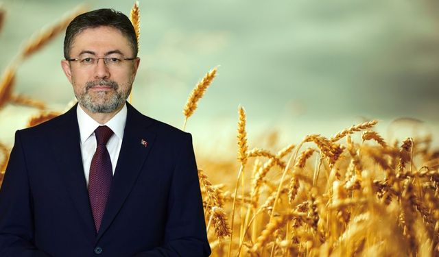 Bakan Duyurdu: TMO Hububat Alım Ödemelerini Başlattı
