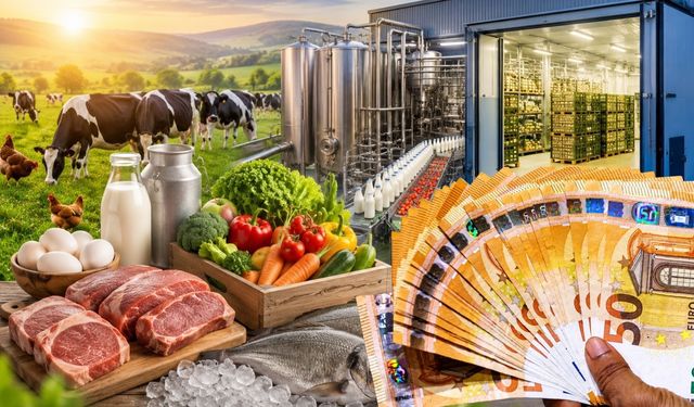 Çağrı İlanı Yayımlandı: Üreticiye 30 Milyon Euroluk Hibe Desteği!