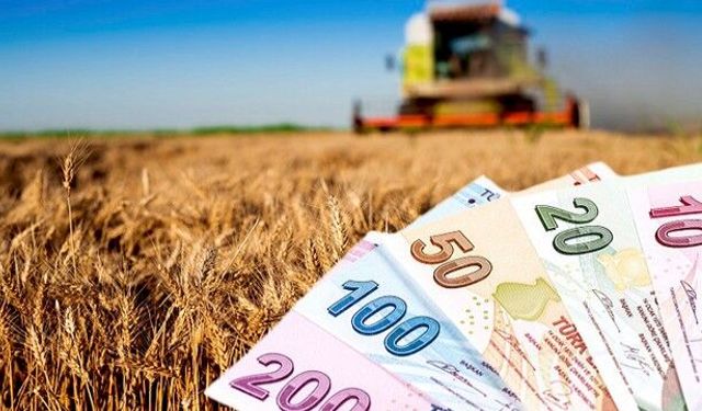 165 Milyon TL’lik Tarımsal Destekleme Ödemeleri Hesaplara Aktarılıyor!