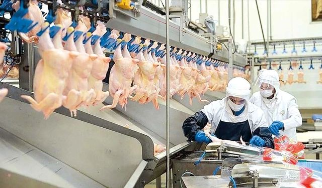 Beyaz Et Sektöründe 13 Dev Şirkete Kayyım Kararı!