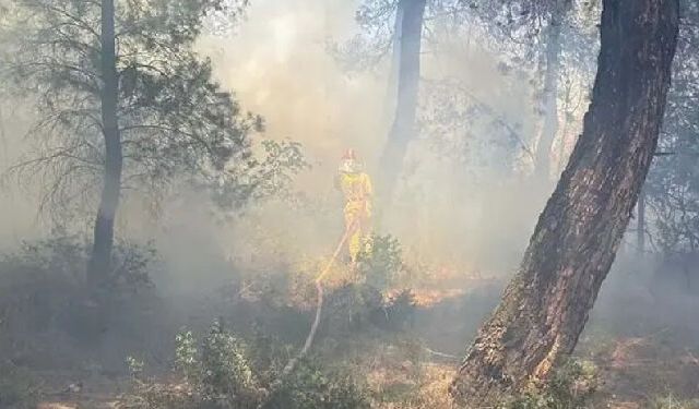 Çanakkale’de Tarım Arazisinde Yangın