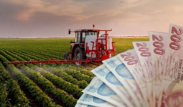 237 Milyon TL'lik Tarımsal Destekleme Ödemeleri Hesaplara Aktarılıyor!