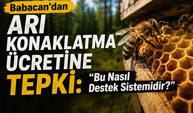 Babacan’dan Arı Konaklatma Ücretine Tepki: “Bu Nasıl Destek Sistemidir?