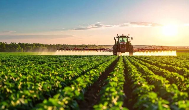 Tarım Ürünlerinde Fiyat Hareketliliği Sürüyor