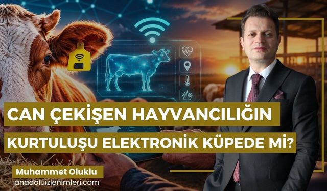 Can Çekişen Hayvancılığın Kurtuluşu Elektronik Küpede mi?