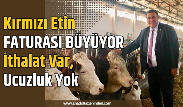 Kırmızı Etin Faturası Büyüyor: İthalat Var, Ucuzluk Yok