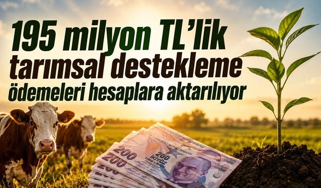 195 Milyon TL'lik Tarımsal Destekleme Ödemeleri Hesaplara Aktarılıyor!