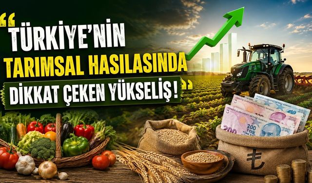 Türkiye’nin Tarımsal Hasılasında Dikkat Çeken Yükseliş!