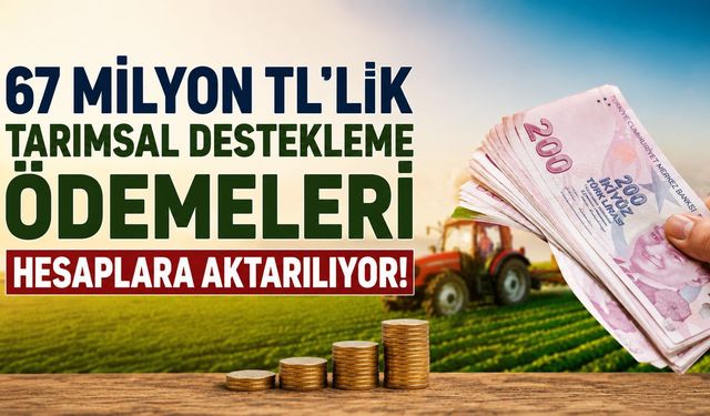 67 Milyon TL’lik Tarımsal Destekleme Ödemeleri Hesaplara Aktarılıyor!