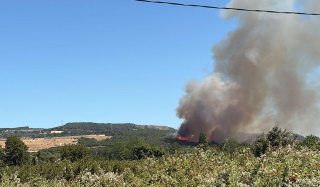 Tarım Arazisinde Yangın Çıktı! Uçak ve Helikopterler Havalandı